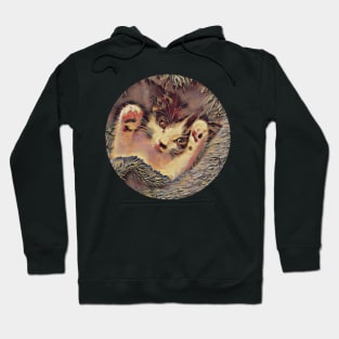 Sweet Cute Blanket Kitten Hoodie